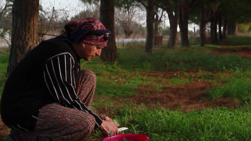 Cemaat İzinde Bir Görme Biçimi Arayışı: “İhsan Hala” Belgeseli