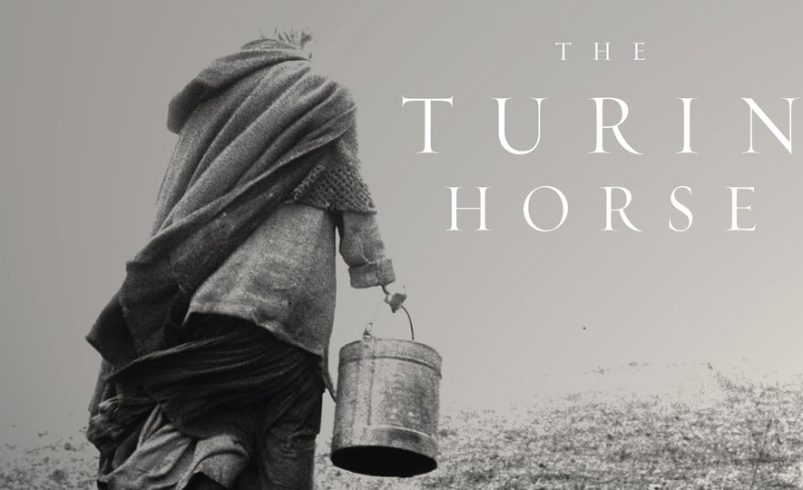 Bir “Hakikat” Alegorisi Olarak: The Turin Horse